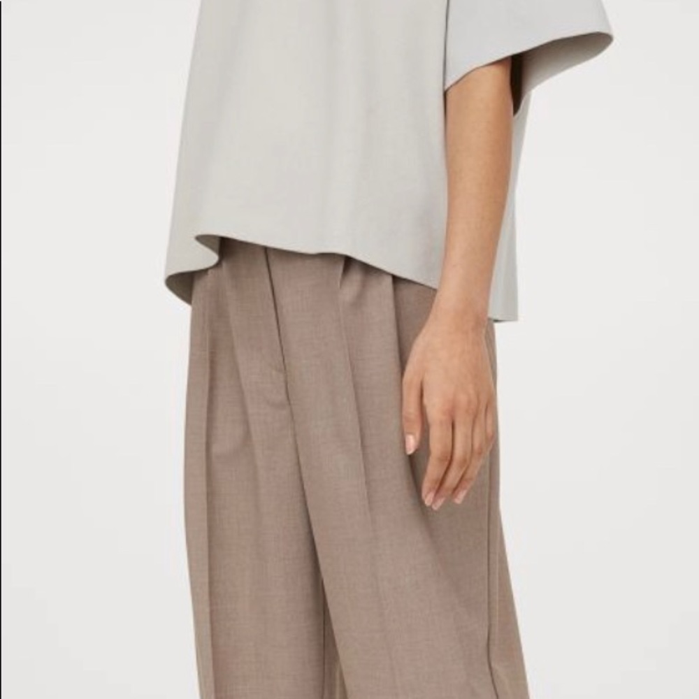 H&M Taupe Pleated Pants